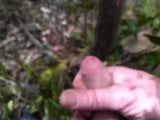 Wank in the woods snapshot 2