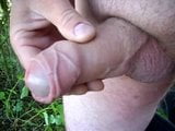 Uncut Cock Outdoor Wanking and Cumming snapshot 3