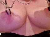 Nipple clamps snapshot 3