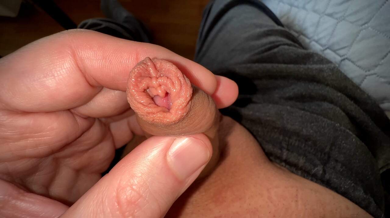 mein kleiner schwanz zuckt in der Hose (Sammlung)