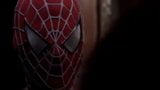 Spider Man und schwarze Witwe snapshot 1