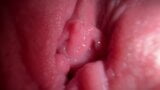 Wide close up pussy spreading and dirty talk snapshot 6