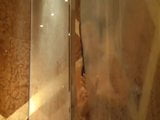 French Actress Fabienne naked in a shower !!! snapshot 8