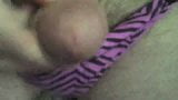 Tiny dick cums wearing panty snapshot 5