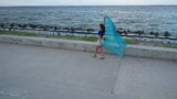 Dance with Blue Shawl (crane) snapshot 1