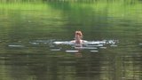 Topless swimming in Volga-river snapshot 1