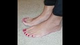 Barefoot 15042020 snapshot 1