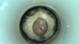 Demi vagina (rekaman langka) snapshot 10