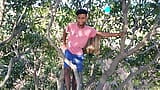 Landbouw Bos Mango boom homo romantische video in Hindi taal snapshot 5