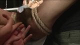 BDSM Asian slave boy tied up and wanked snapshot 7