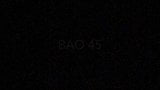 BAO 45 preview snapshot 10