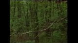 vintage russian girl fucked in the woods snapshot 5