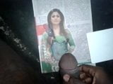 Мой трибьют спермы для моей сладкой южно-индийской актрисы Nayanthara snapshot 8