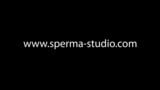 Sperma, Sperma, Sekretärin Nora - Sperma-Studio - langer Clip - 20713 snapshot 16