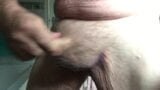 8 inches up my arse. snapshot 15