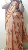 Indische huisvrouw in saree snapshot 1