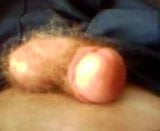 Prick-Stroking snapshot 3