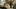 Tiziana Redford с большими сиськами
