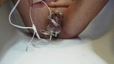 Cumming in Chastity Cage with E-Stim snapshot 10