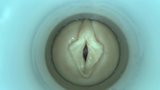 Sperma-Ladung von Sperma-Cam-Mann snapshot 15