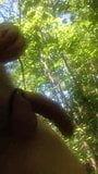 walking naked in woods snapshot 2