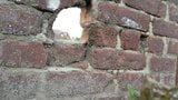 Gloryhole Duisburg snapshot 2