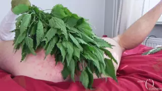 крапива Piss секс видео - diskontclub.ru крапива Piss секс видео - diskontclub.ru