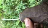 Pissing in nature outdoor jungle piss bbc cock snapshot 3