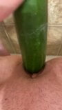 CUCUMBER DEEP IN MY PUSSY snapshot 7