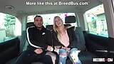 Daisy Lee picked up and fucked in the BreedBus snapshot 11
