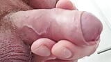 Big Cock Uncut Daddy Bear flaccid and Semi Hard foreskin precum play no cumshot snapshot 5