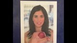 Butterface Celeb Tributes Day 2: Sarah Silverman snapshot 6