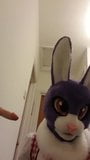 bunny mask sucking dildo snapshot 1