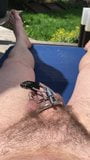 Chastity cage snapshot 4