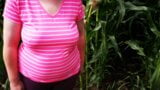 Slap my tits in the cornfield snapshot 1