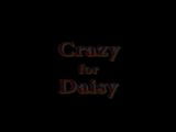 Crazy for Daisy snapshot 1