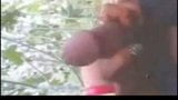 Village girl blowjob with bf in forest snapshot 2