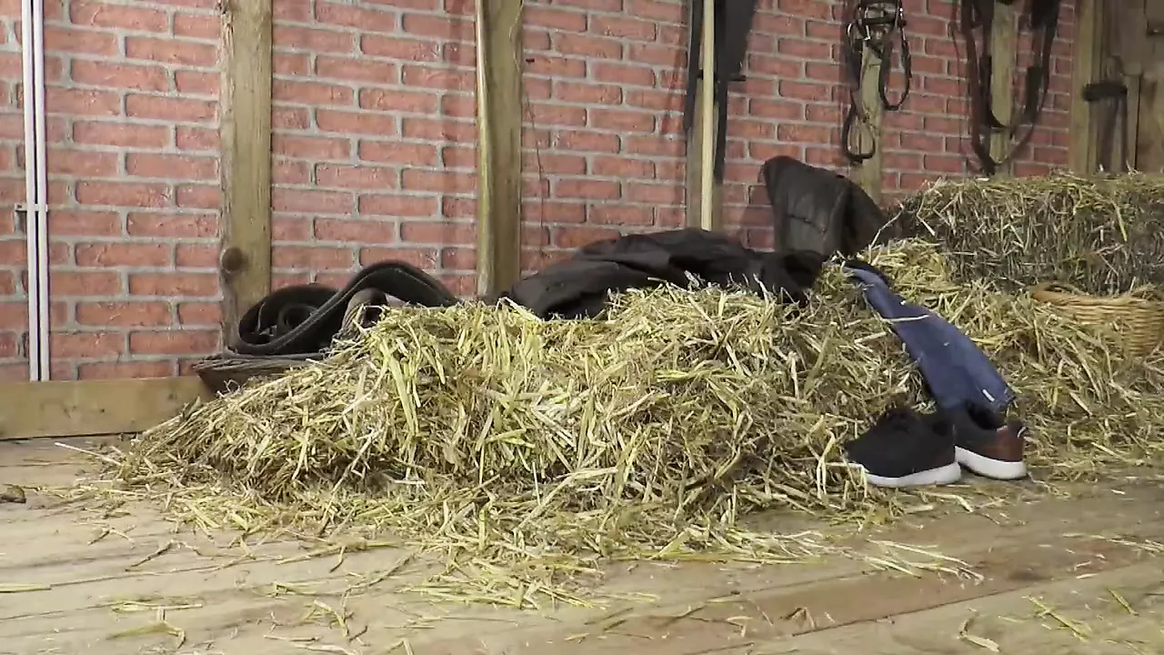 Escort Sex with Susi Full Movie: German Big Cock Porn | xHamster