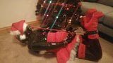 Louise Latex, Naughty Santa Hogtied snapshot 4