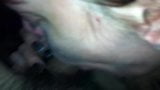 Blowjob und Creampie snapshot 4