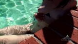Drăguța lila păroasă face o baie în piscină snapshot 10