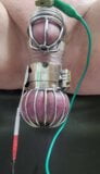 Locktober cum from cbt estim in chastity and ball cage snapshot 1