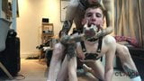 Vertrappen, ballbusting, cbt snapshot 1