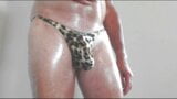 Corde Tigerlook Oilde Bulge snapshot 2