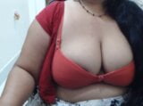 Desi aunty live with big boobs snapshot 4