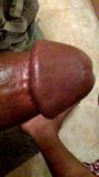 Hard dick snapshot 4