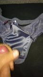 Love little satin knickers snapshot 9