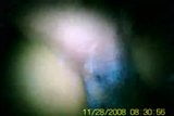 Cumming en esposas peludo COÑO snapshot 9