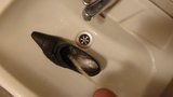 Piss in wifes black pointy pump snapshot 4