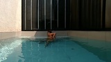 Vrpussyvision.com - tette calde e diteggiatura della piscina all'aperto snapshot 14